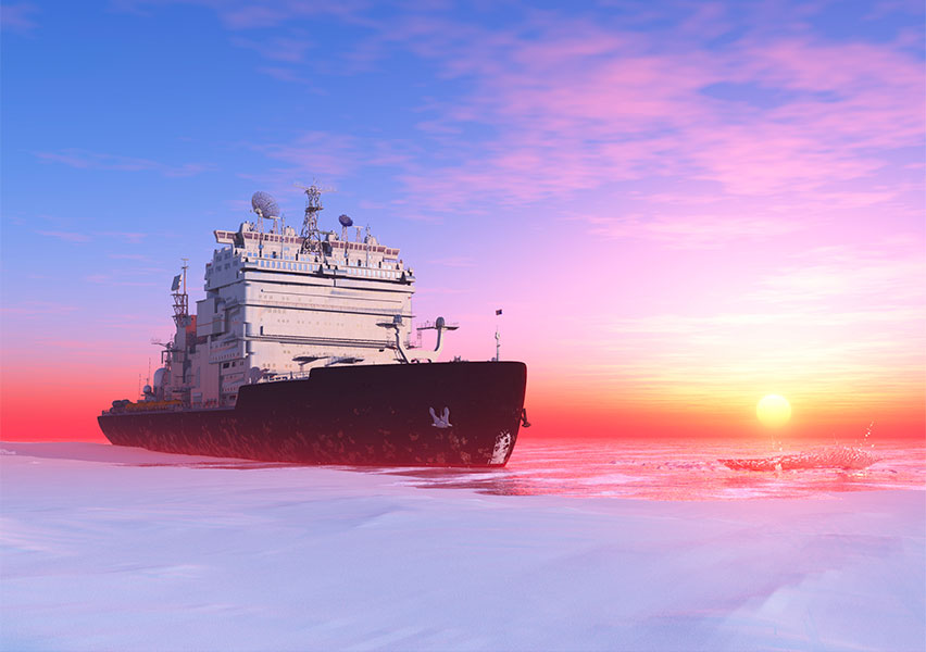 Crociera Icebreaker