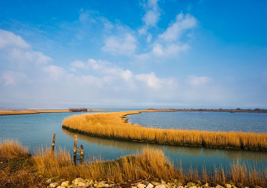 Il Parco del Delta del Po: un territorio creato dall’acqua.